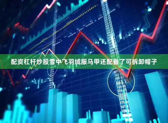 配资杠杆炒股雪中飞羽绒服马甲还配备了可拆卸帽子