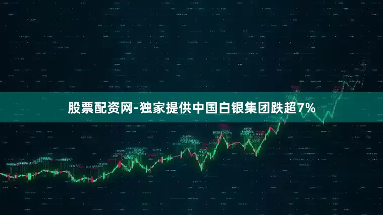 股票配资网-独家提供中国白银集团跌超7%